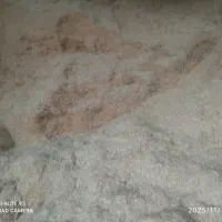 کاه گندم ریز