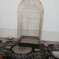 قیمت ۱۰۰۰۰۰