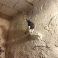 کفتر کبوتر رنگه|پرنده|مشهد, مصطفی خمینی|دیوار