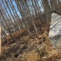 فروش ۱۰ قطعه زمین مسکونی(یکجا یا قطعه ای)|فروش زمین و ملک کلنگی|محمدشهر, محمدشهر|دیوار