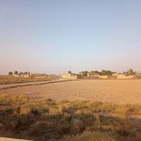 زمین شمس آباد /خیابان اباذر/250متر