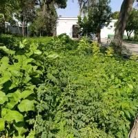 نیروی اشپزی و خدمات