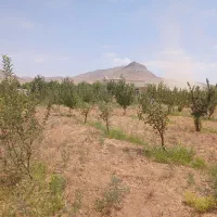 زمین ۵۰۰متری بان گلشن اباد با اب