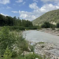 سوئت ویلایی روزانه دوخواب جنگلی|اجارهٔ کوتاه‌مدت ویلا و باغ|شیرگاه, |دیوار