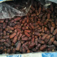 انواع خرمای خشت و اهرم|عمده‌فروشی|چرام, |دیوار