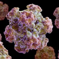 بهبودزگیل تناسلی|آرایشی، بهداشتی، درمانی|علیآباد کتول, |دیوار