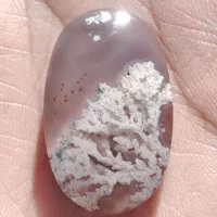 انگشتر|جواهرات|نورآباد, |دیوار