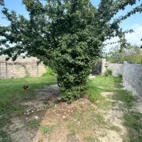 خونه ویلایی۳۰۰۰متری /شفت به فومن/|فروش خانه و ویلا|احمدسرگوراب, |دیوار