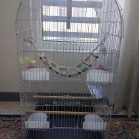 قفس بزرگ تمیزجنس قدیم