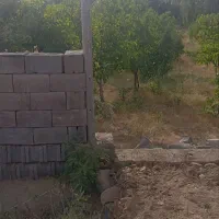 باغ 15ساله سیمین زاغه|فروش زمین و ملک کلنگی|بهار, |دیوار