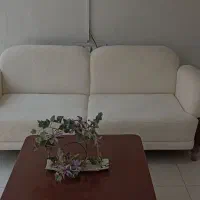 مبلمان،مبل مدرن مبل پاندا مینیمال فانتزی،چوب،نجاری|مبلمان خانگی و میز عسلی|بابل, |دیوار