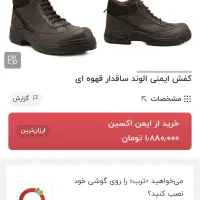کفش ایمنی