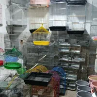 لوازم سرای سهره بازان میاندواب|لوازم جانبی حیوانات|میاندوآب, |دیوار