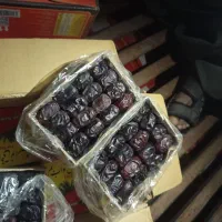 خرما درجه ۱|خوردنی و آشامیدنی|بم, |دیوار