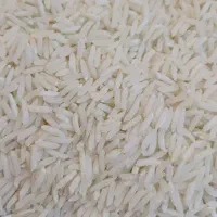 برنج محلی درشت
