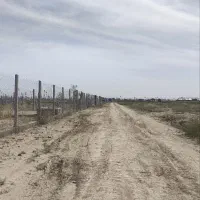 یک قطعه زمین 250متری فوری فروشی|فروش زمین و ملک کلنگی|جوادآباد, |دیوار