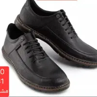 کفش مردانه|کیف، کفش، کمربند|رشت, منظریه|دیوار