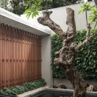 گلستان-شمالی-500متر-لوکسترین-واحد-شمیران