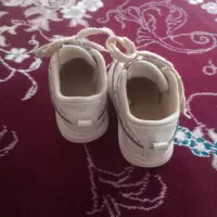 کفش|کفش و لباس بچه|قیدار, |دیوار