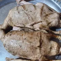 غاز واخضری کله سبز|حیوانات مزرعه|بندر امام خمینی, |دیوار