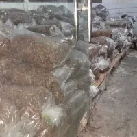 ضایعات کشمش|خوردنی و آشامیدنی|اهواز, آسیاباد|دیوار