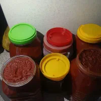 رب خانگی
