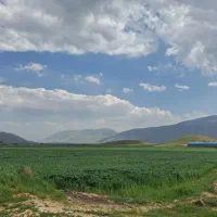 زمین کشاورزی ۵هکتار آبی و ۳ هکتار دیم