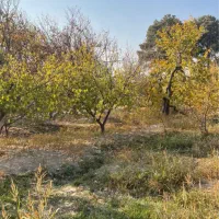 باغ ۹۵۰ متر یوسف اباد صیرفی شهریار