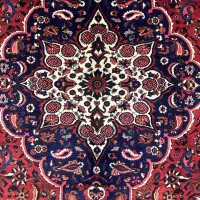 فرش دستبافت 6متری بختیاری رنگ گیاهی|فرش|کرج, فاز ۴ مهرشهر|دیوار