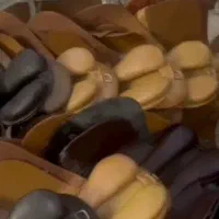 لوازم کفش جوراب باشگاه سوارکاری پرورش اسب آموزش|اسب و تجهیزات اسبسواری|محمدشهر, شهرک چمران|دیوار