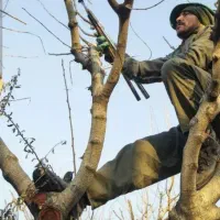 هرس درختان میوه وتمام کارهای باغ میوه