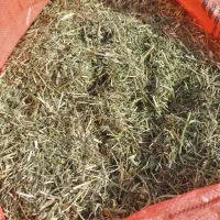 یونجه خشک