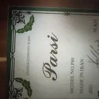 گیتار Parsi P80|گیتار، بیس، امپلیفایر|محمدشهر, همایون ویلا|دیوار