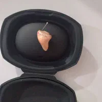 سمعک SEXTON|پزشکی|چهاردولی, |دیوار