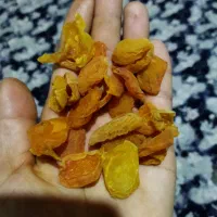 فروش برگه زردالو تازه مال امسال به قیمت بازار|خوردنی و آشامیدنی|مرند, |دیوار