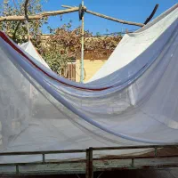 پشه بند سنتی خانواده|کوهنوردی و کمپینگ|کرمان, |دیوار