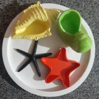 سینیه دریایی(سنگ مصنوعی)