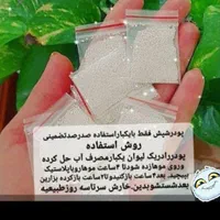 فروش پودر شپش قوی