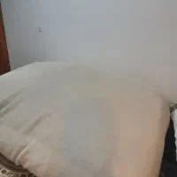 تشک بین بگ