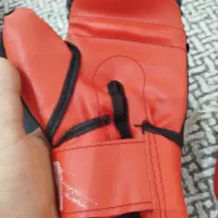 دستکش بوکس مناسب مبتدی|تجهیزات ورزشی|گنبد کاووس, |دیوار