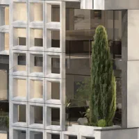 تریدی آرتیست