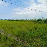 زمین-باغی-داخل-طرح-جاده-خشکیبیجار