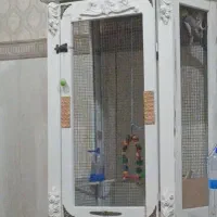 قفس عروس طوطی ملنگو کاسکو