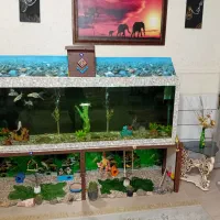 آکواریوم دومتر وخرده وسکوریت