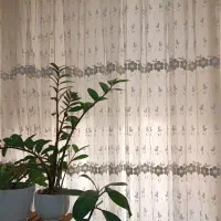 پرده توری باآستروچوپ پرده