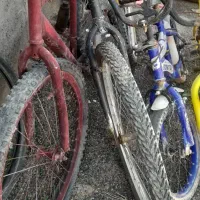 دوچرخه فروشی سالم