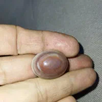 سنگ حجر المراد سه پوست سنگ ارزو سنگ ثروت|کلکسیون اشیاء عتیقه|ارومیه, |دیوار