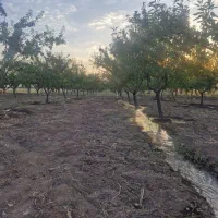 راهنمایی درآمد