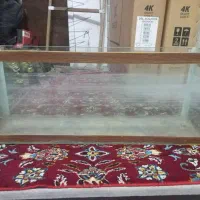 اکواریوم|ماهی|رباطکریم, رباطکریم|دیوار