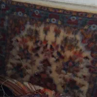 قالیچه نیمه کاره استاد بافت|فرش|ابهر, |دیوار